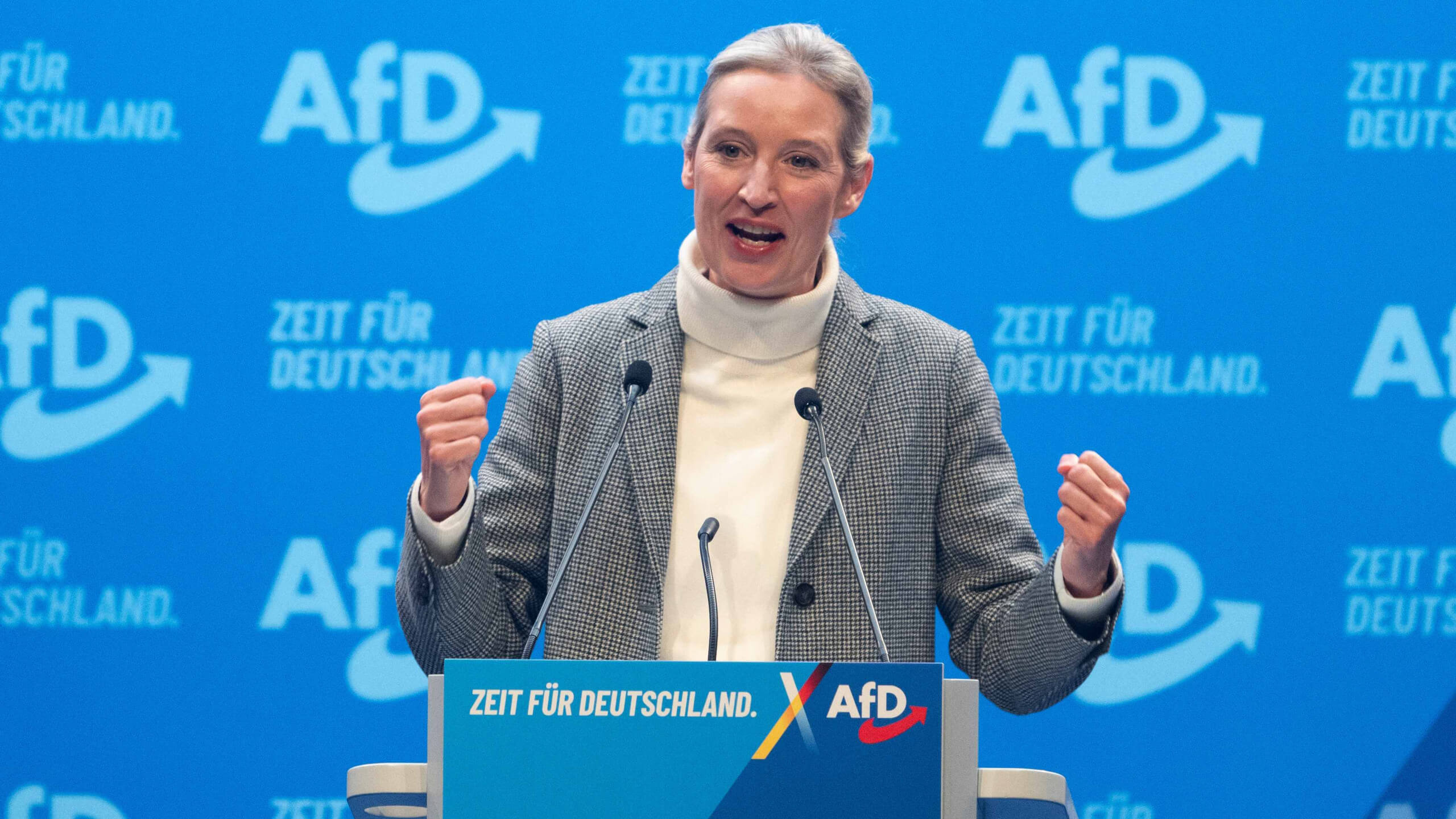 Alice Weidel behauptete im Gespräch mit Elon Musk, Adolf Hitler sei Kommunist gewesen. Das widerspricht allen historischen Tatsachen