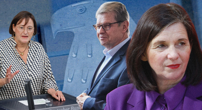 Die Foto-Collage zeigt die Politikerinnen und Politiker Martina Renner (Die Linke), Ralf Stegner (SPD) und Katrin Göring-Eckardt. Collage:Ivo Mayr/CORRECTIV (Fotos:picture alliance)