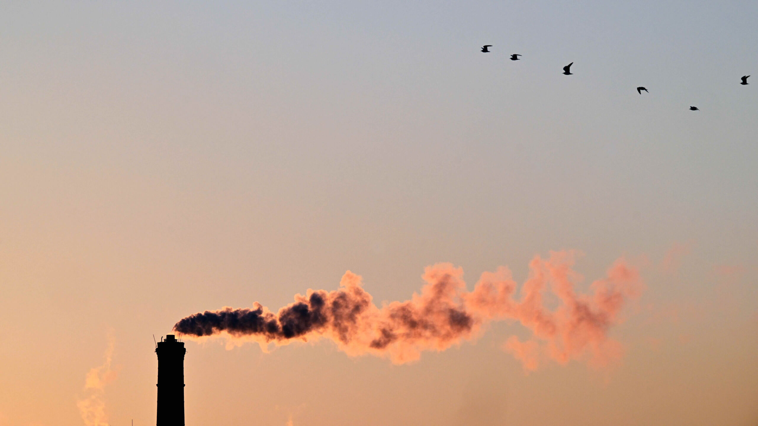 Ende Januar 2025 beschloss der Bundestag, den Emissionshandel zu reformieren. Im Netz verbreiteten sich daraufhin Spekulationen darüber, wie sich die CO2-Preise dadurch entwickeln werden.