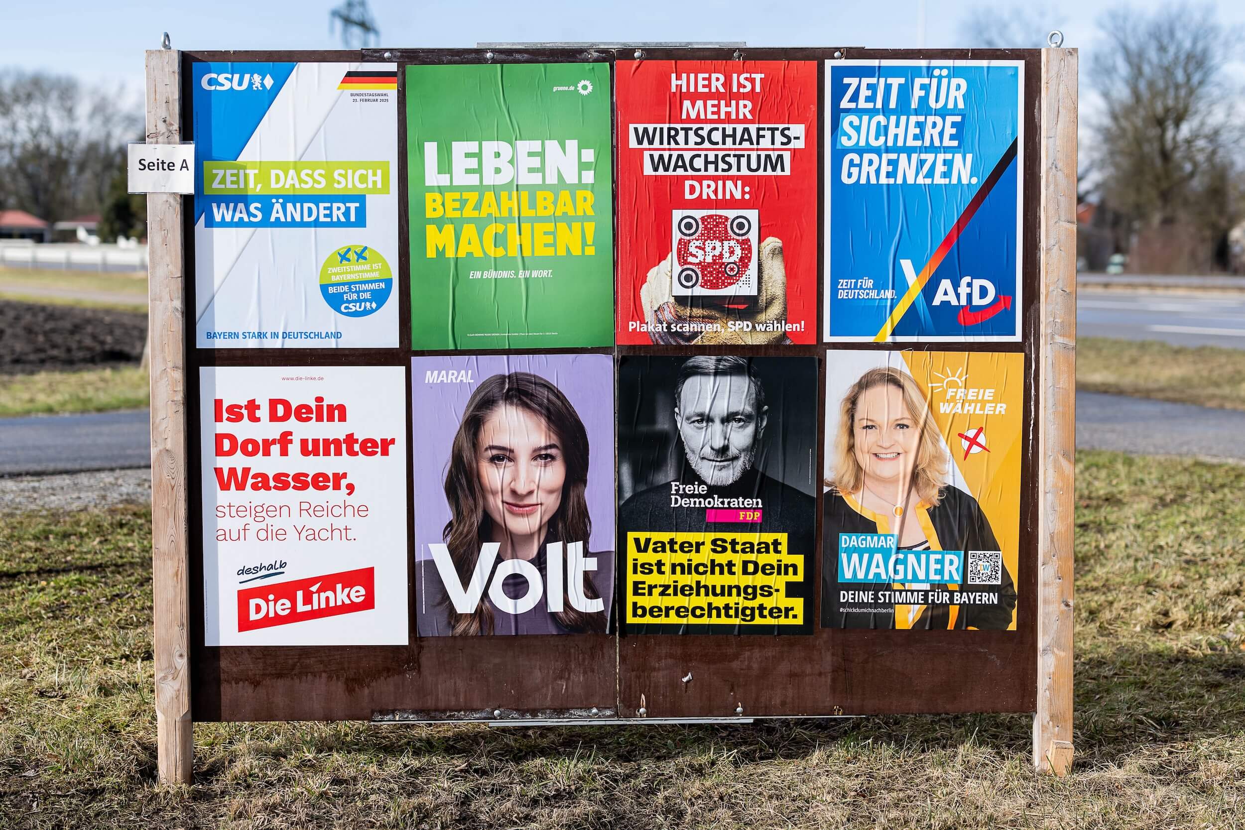 Einfluss auf die Bundestagswahl: Millionenspende für AfD-Werbeplakate