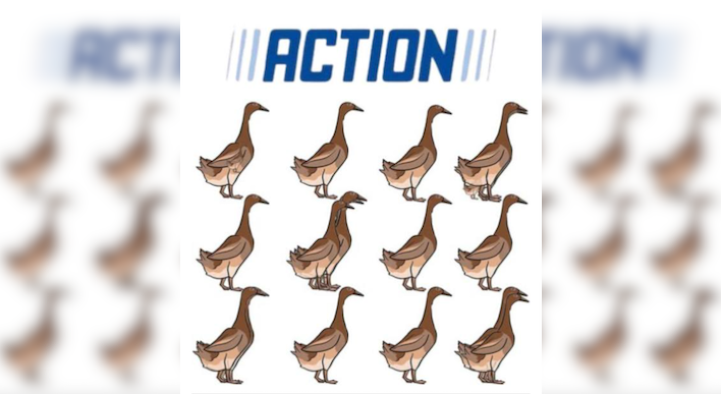 enten-action