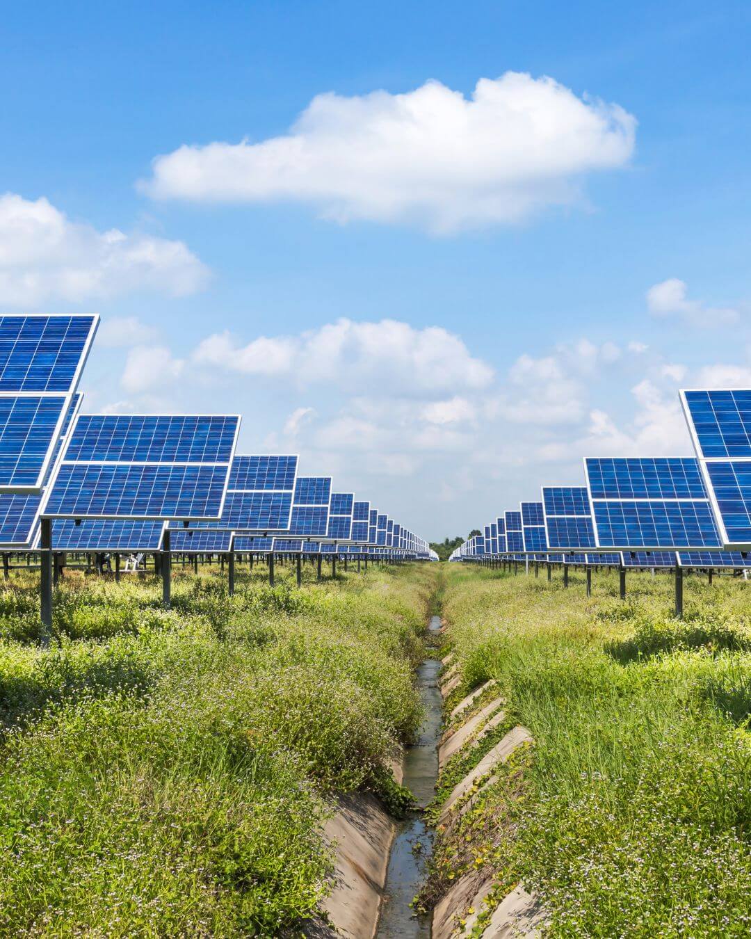 correctiv-faktencheck-video-symbolbild-solarparks
