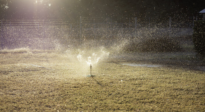 Foto: Chris Gordon / istock