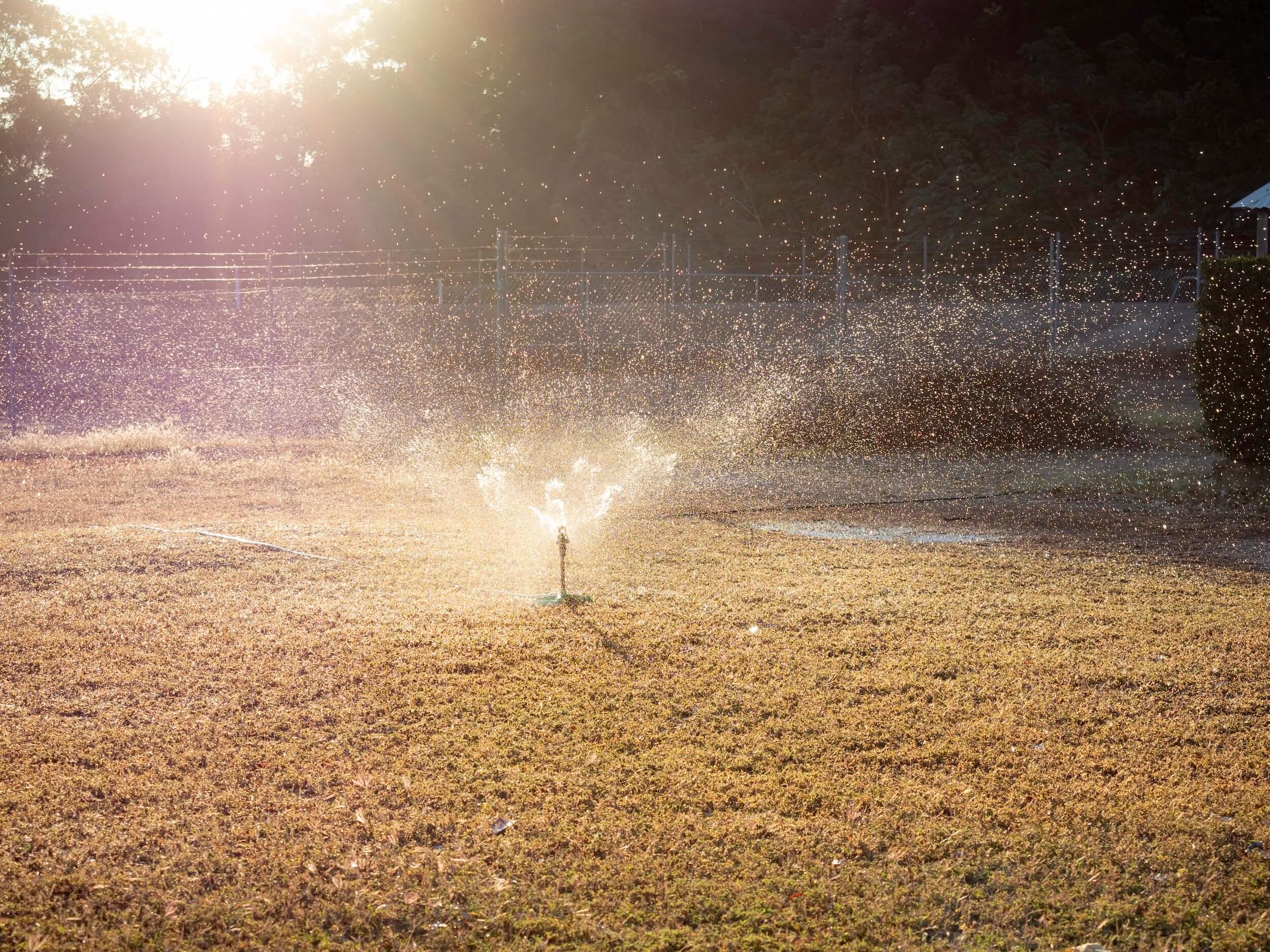 Foto: Chris Gordon / istock
