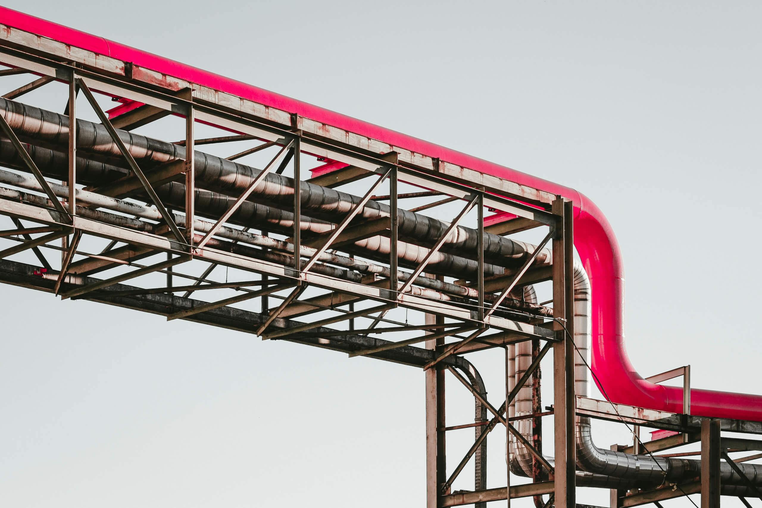 Foto: Martin Adams / unsplash.com