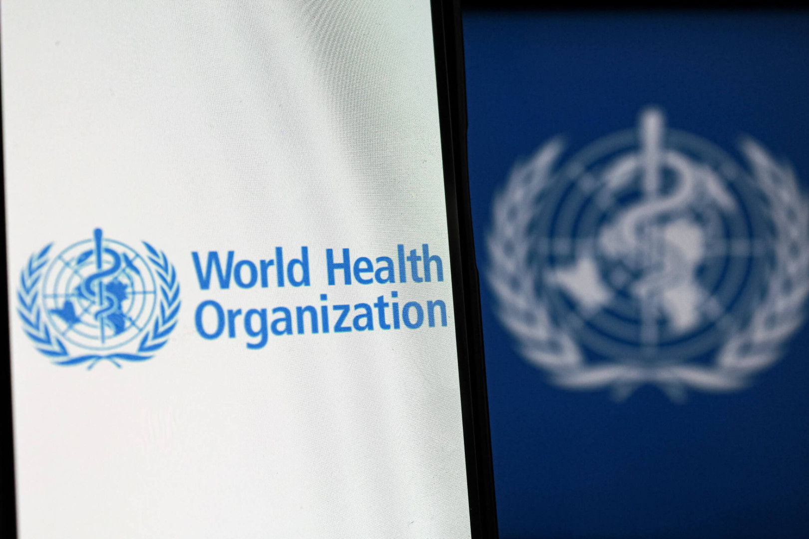 Auf einem Bildschirm ist das Logo der Weltgesundheitsorganisation zu sehen