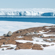 Eisfläche am Vanderford Gletscher in der Antarktis