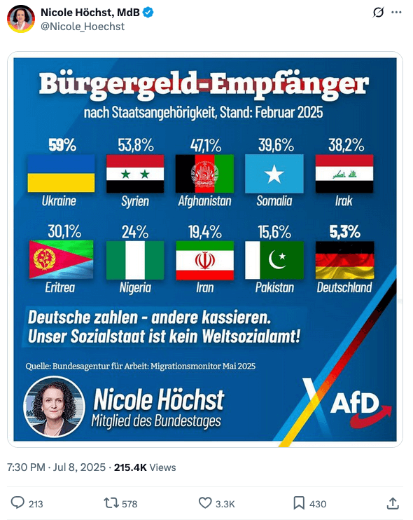Screenshot einer Grafik, die AfD-Politikerin Nicole Höchst auf X gepostet hat.