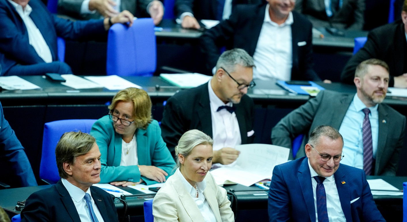 AfD im Bundestag