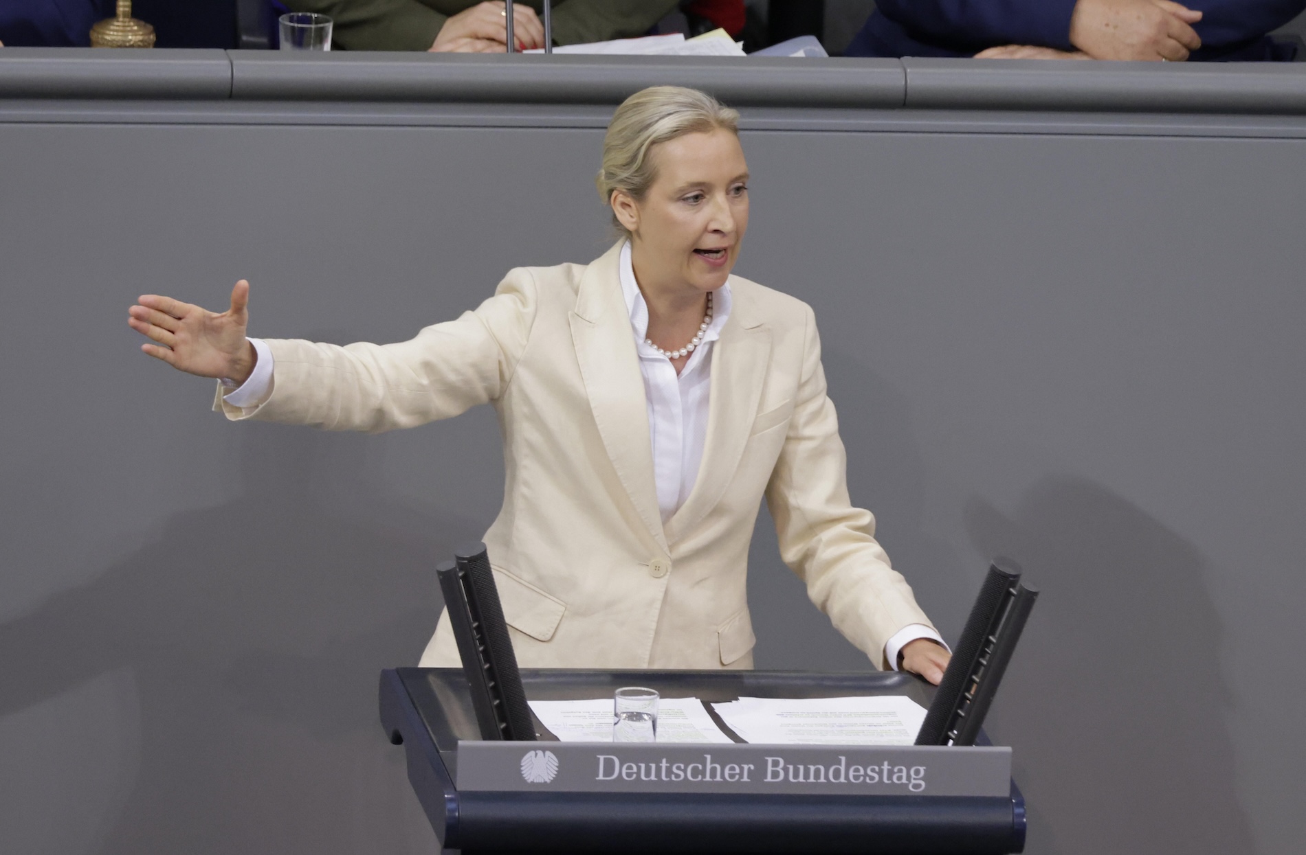 Alice Weidel bezeichnete das Bürgergeld bei ihrer Rede am 9. Juli 2025 als „Migrantengeld“ 