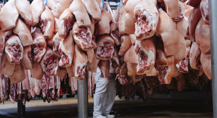 Foto: Marie Bröckling