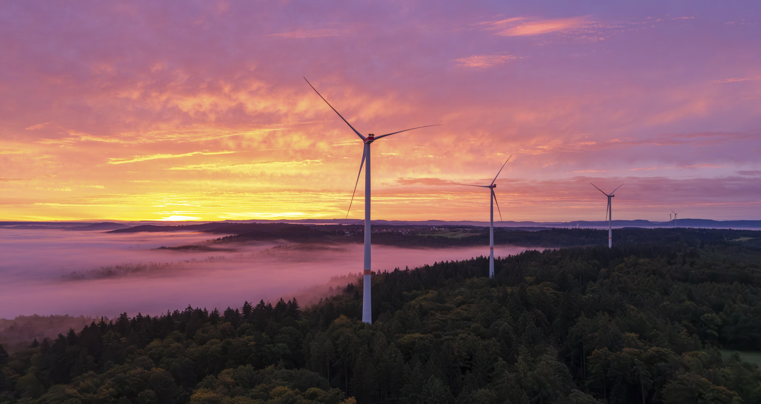 Windräder im Wald sorgen immer wieder für Desinformation (Symbolbild) (Bild: Lilly / Picture Alliance / imageBROKER)