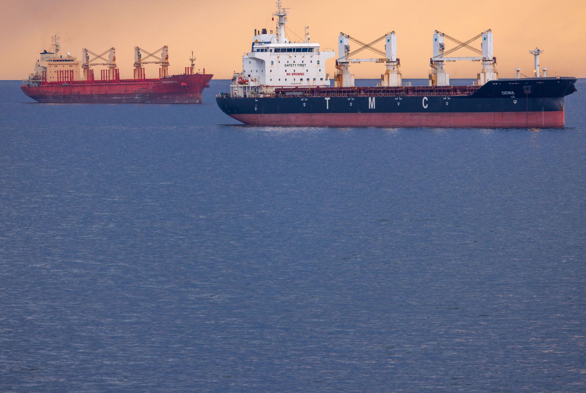 Zwei Containerschiffe liegen vor dem Hafen von Rostock: Ließe sich die Anzahl des Schiffsverkehrs durch einen Verzicht auf fossile Energieträger halbieren? (Bild: DPA / Picture Alliance)