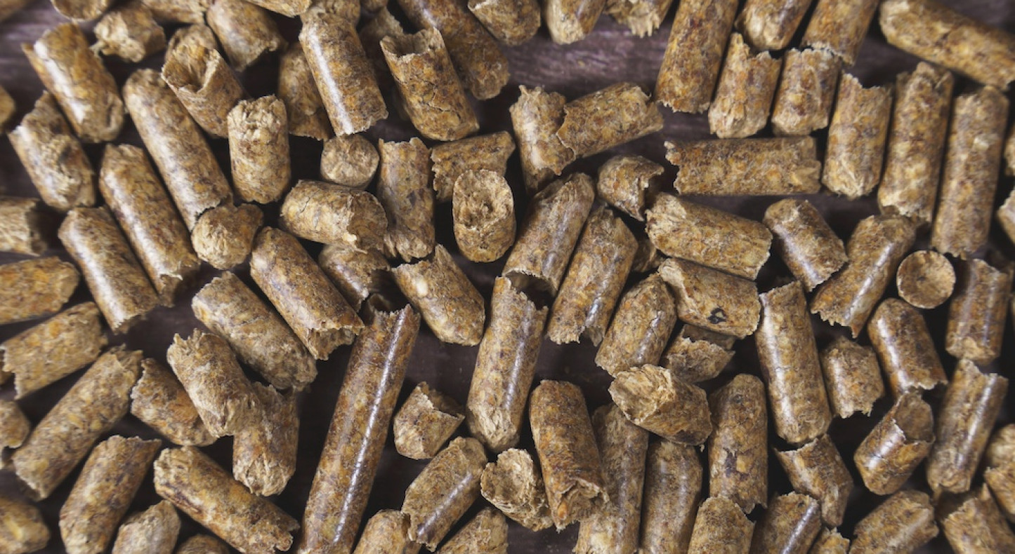 Warum-die-Klimaneutralit-t-von-Pelletheizungen-umstritten-ist