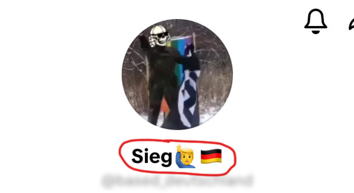 Soziale-Netzwerke-Wenn-ein-Emoji-den-Hitlergru-symbolisiert