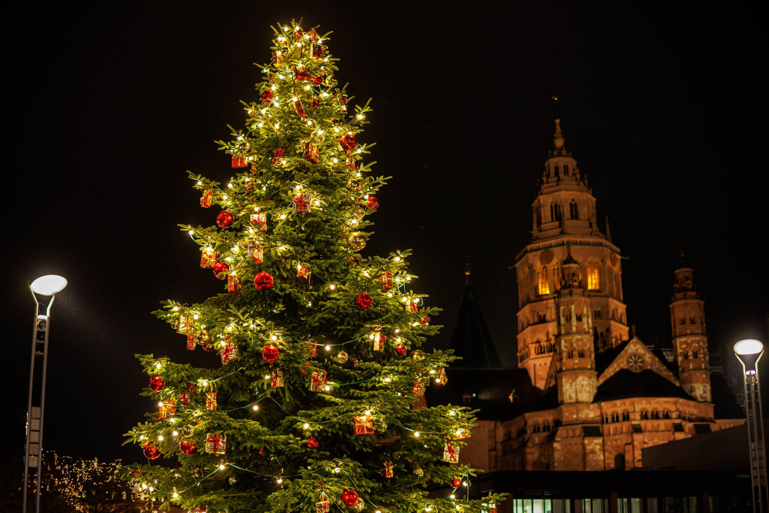Weihnachtsbaum vor dem Staatstheater in Mainz