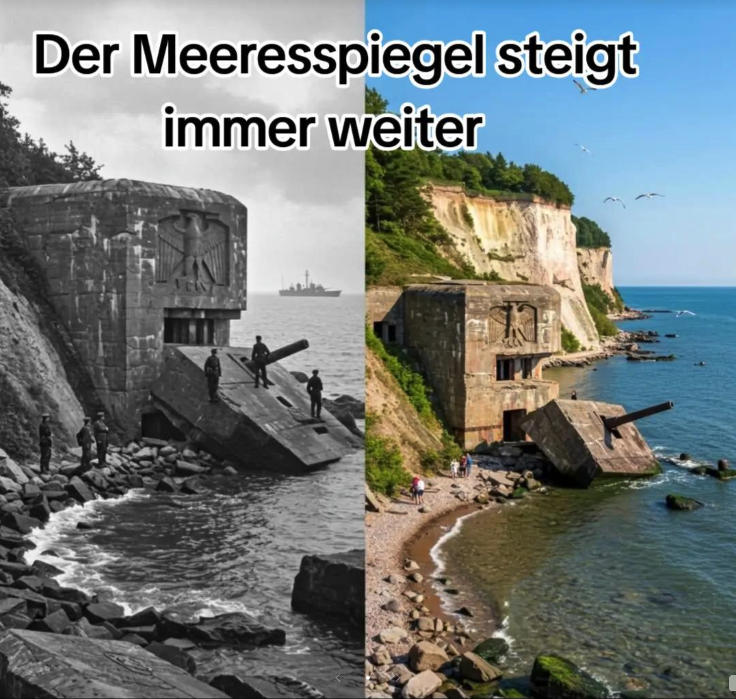 Diese Collage beschwerte einem Tiktok-Account mehr als eine Million Aufrufe