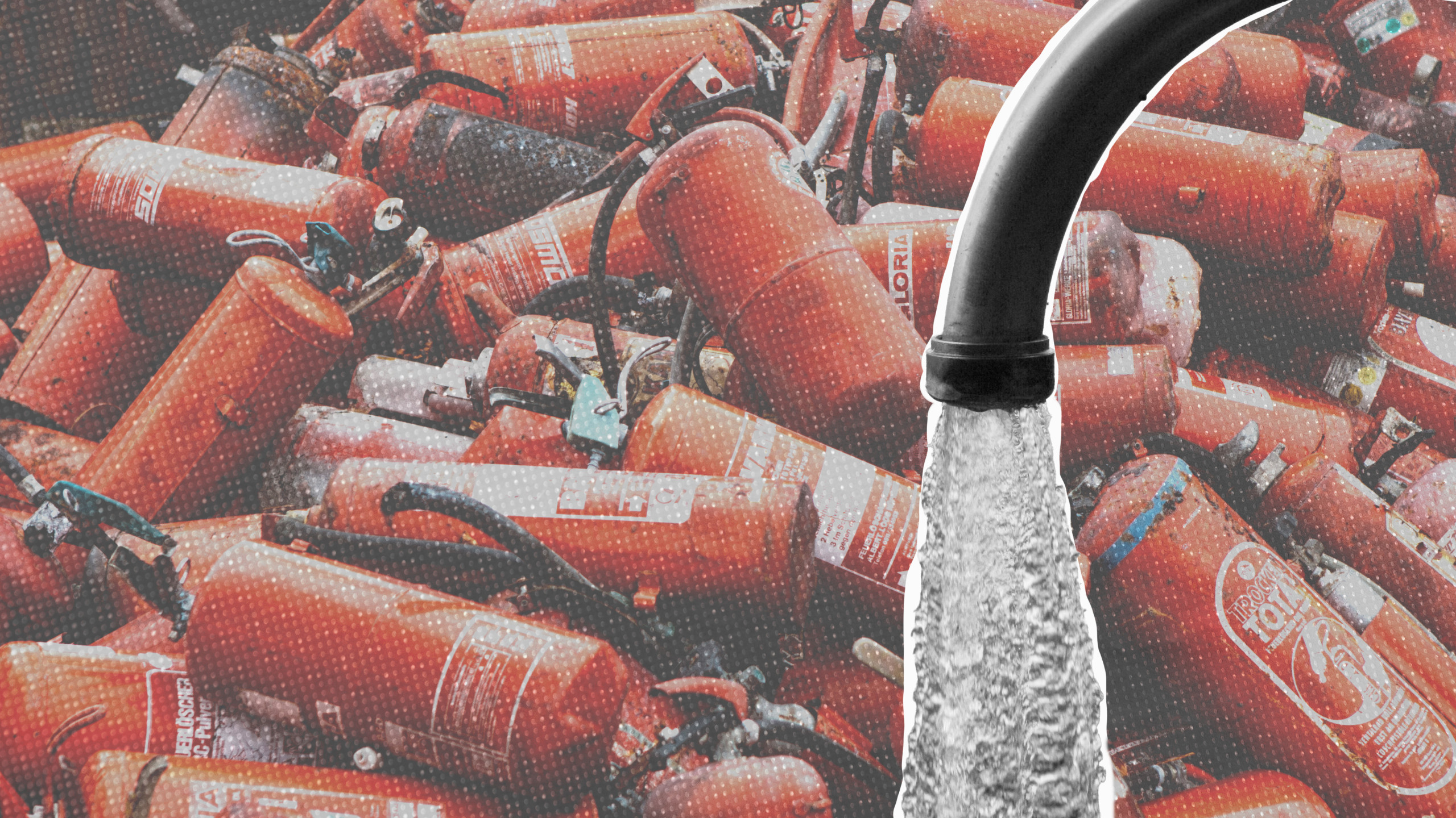 Collage: Ivo Mayr /CORRECTIV ( Fotos: Ivo Mayr & unsplash.com )