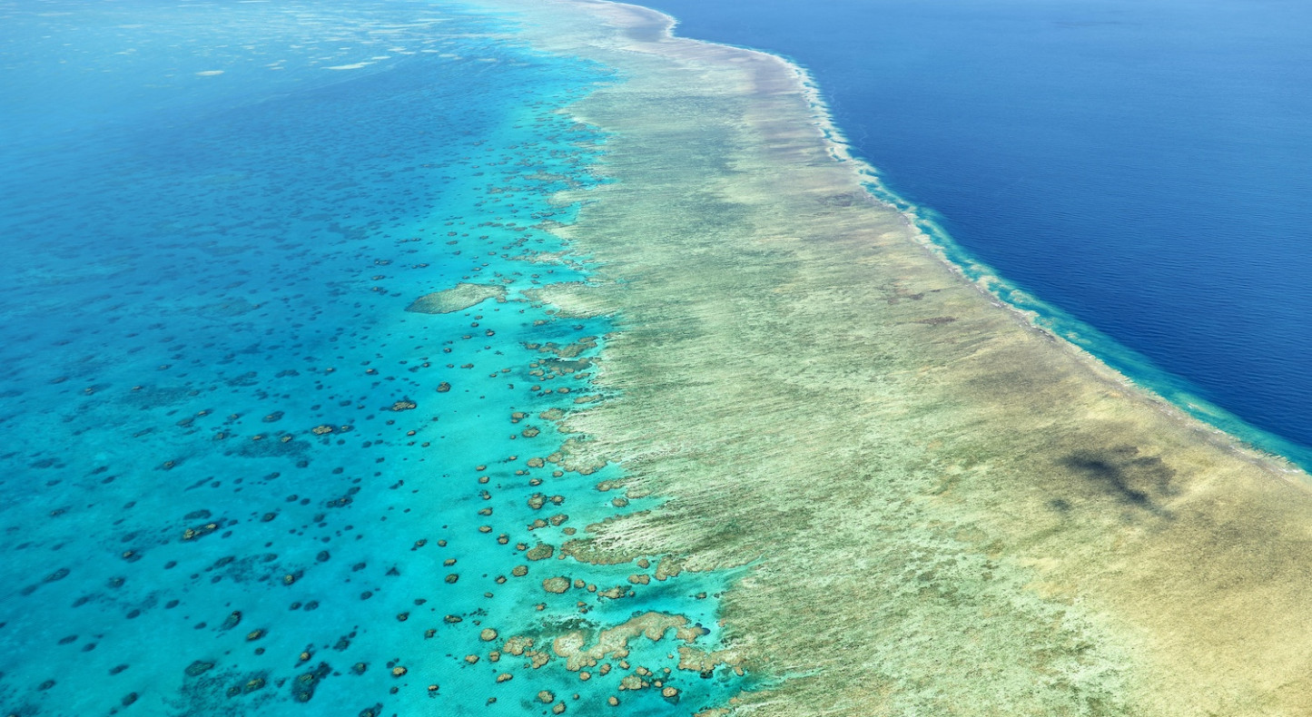Zustand-des-Great-Barrier-Reefs-schwankt-stark