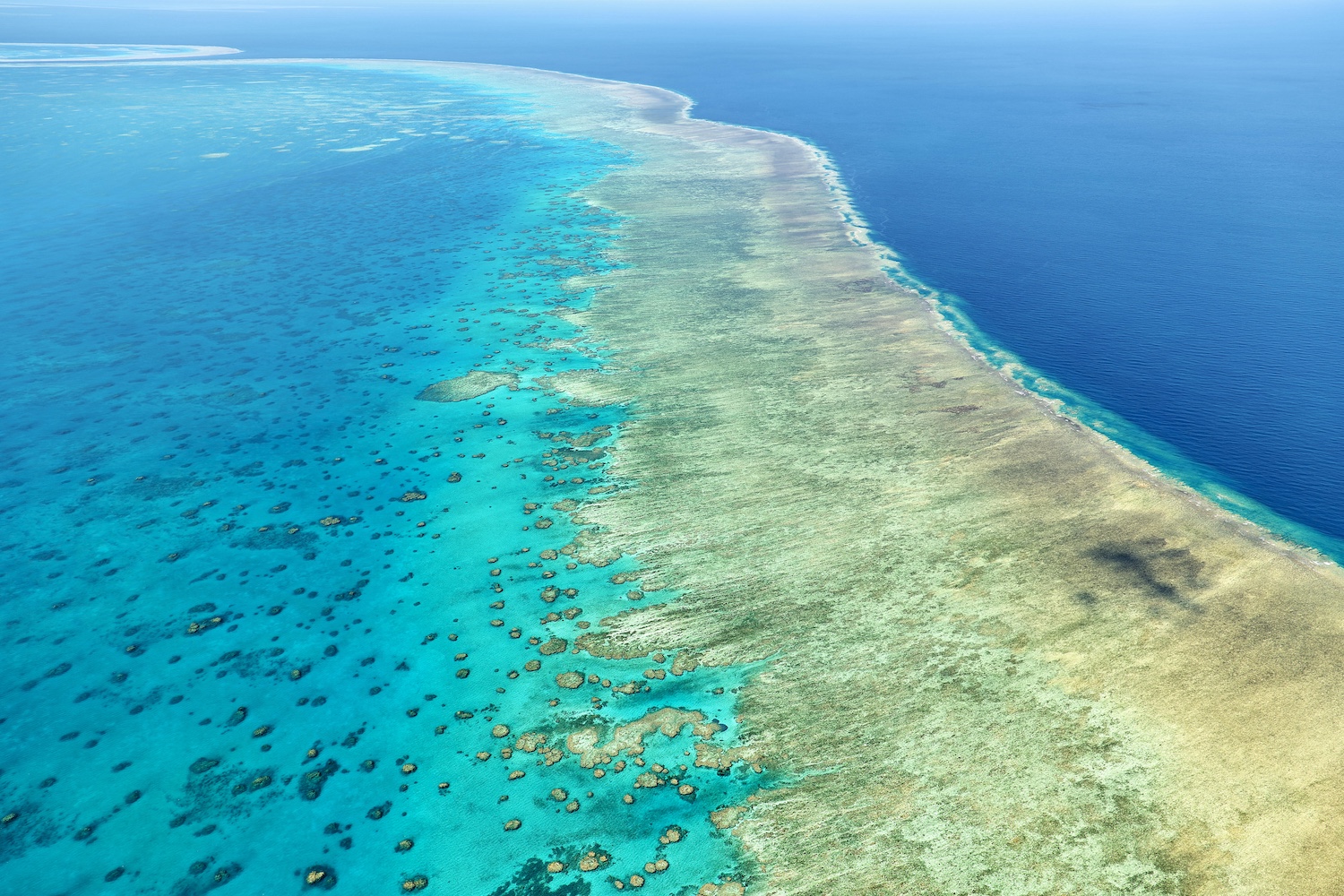 Luftaufnahme des Great Barrier Reefs