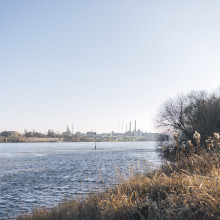 Bild von der Uferseite des Rheins