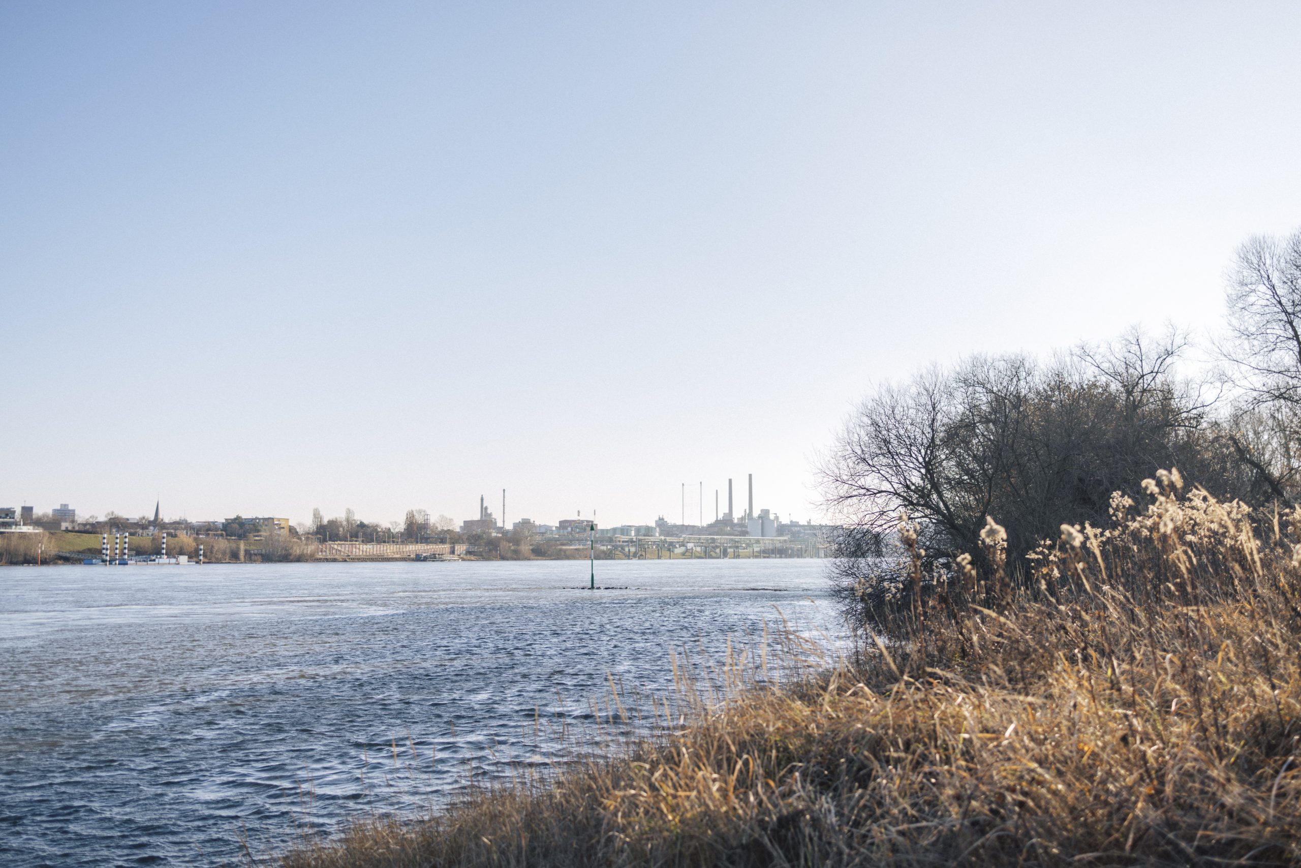 Bild von der Uferseite des Rheins