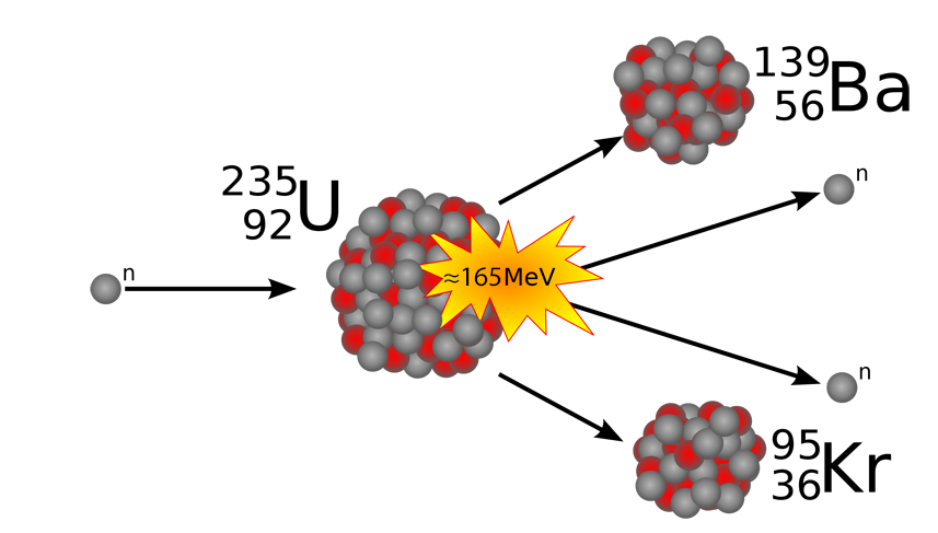 Trifft ein Neutron auf Uran, spaltet sich das Uran-Atom auf und es werden weitere Neutronen freigesetzt. So entsteht eine Kettenreaktion.
