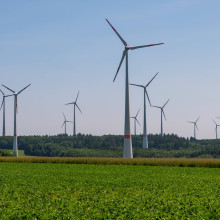 Windräder auf einem Feld