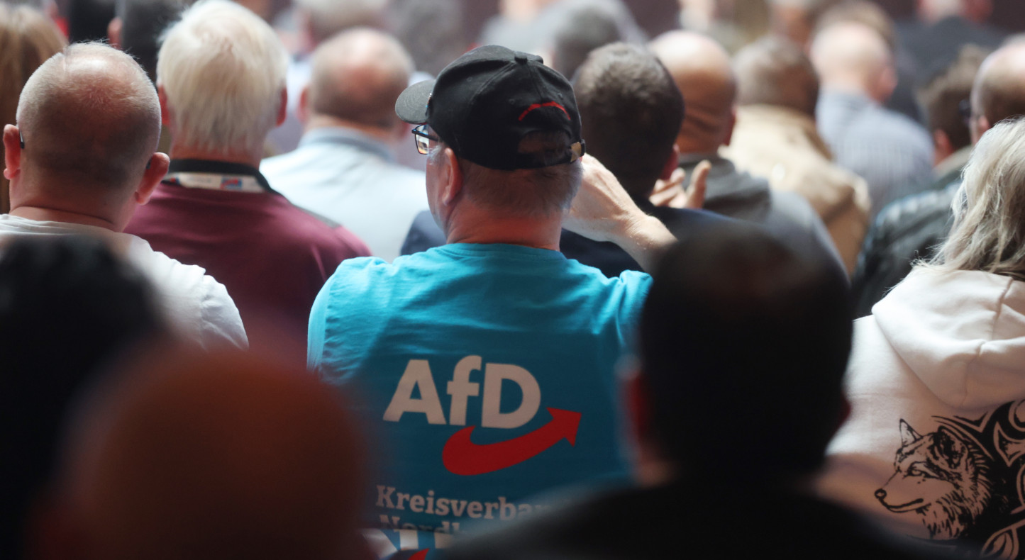 Legal experts consider a partial ban on the AfD conceivable