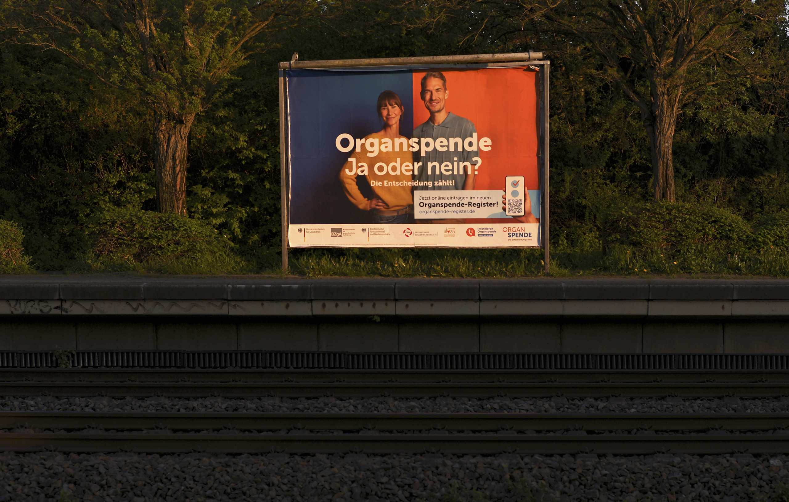 Die Kampagnen laufen seit Jahren - dennoch entscheiden sich immer noch nicht genug Menschen in Deutschland, ob sie Organspender sein wollen. picture alliance / imageBROKER | Michael Weber