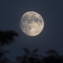 Heller Vollmond bei Nacht