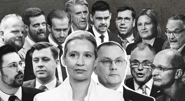 Bild-Collage in schwarz-grau-weißem Farbton. Es zeigt die 14 Köpfe der Mitglieder des 2026 gewählten AfD-Bundesvorstands.