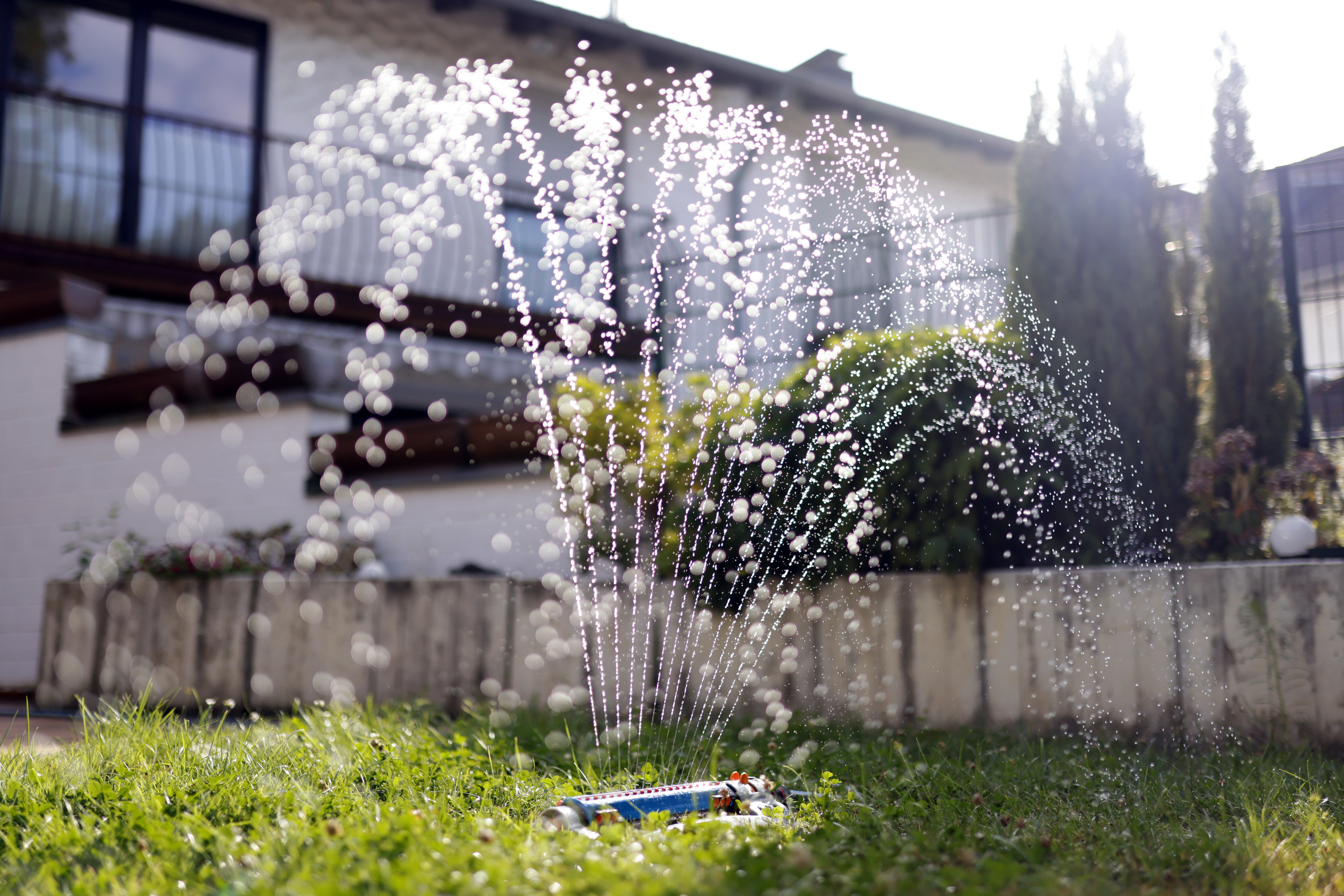 Das Bild zeigt einen Rasensprenger in einem Garten. In Dutzenden Landkreisen ist es Bürgerinnen und Bürgern verboten, zu diesem Zwecke Wasser aus Flüssen und Seen zu entnehmen. (Bild: picture alliance / Panama Pictures | Christoph Hardt)