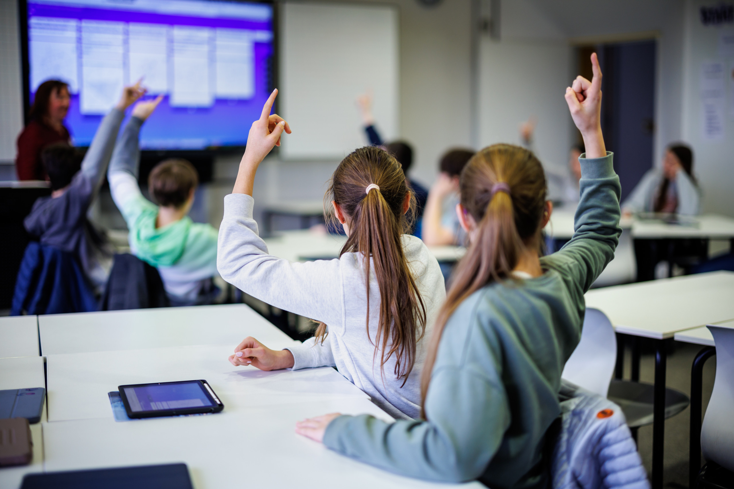 Die AfD plant in Sachsen-Anhalt gravierende Änderungen an den Schulen