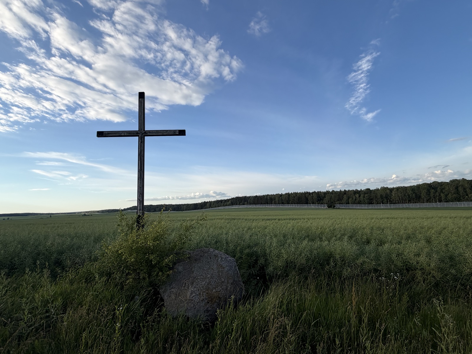 Grenzzaun an der polnisch-belarussischen Grenze. Foto: Silvia Stöber