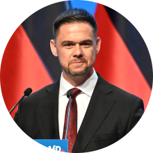 Hannes Gnauck (AfD)