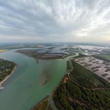 Symbolbild: Die Insel Santa Cristina liegt in der Lagune von Venedig (Peter Mocsonoky / Picture Alliance / Zoonar)