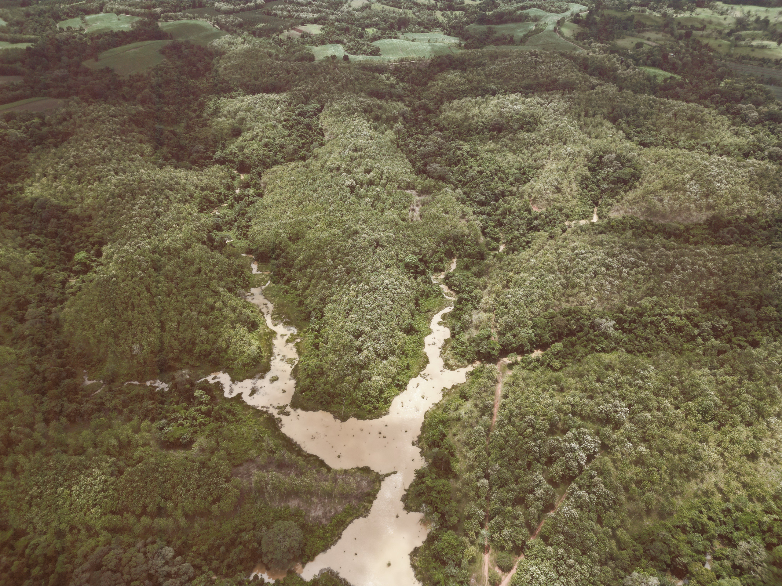 Drohnenbild der Plantage Monte Cristi im Norden Costa Ricas.