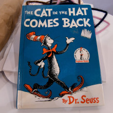 cat-in-the-hat-seuss