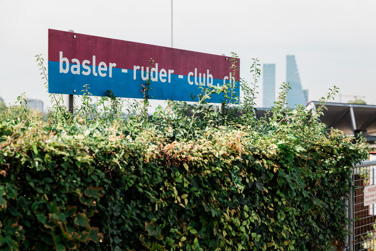 Ein zweifarbiges Schild mit der Aufschrift «basler-ruder-club.ch» steht hinter einer dichten, grünen Hecke. Im Hintergrund sind moderne Hochhäuser und ein Gebäude des Basler Ruder-Clubs zu sehen.