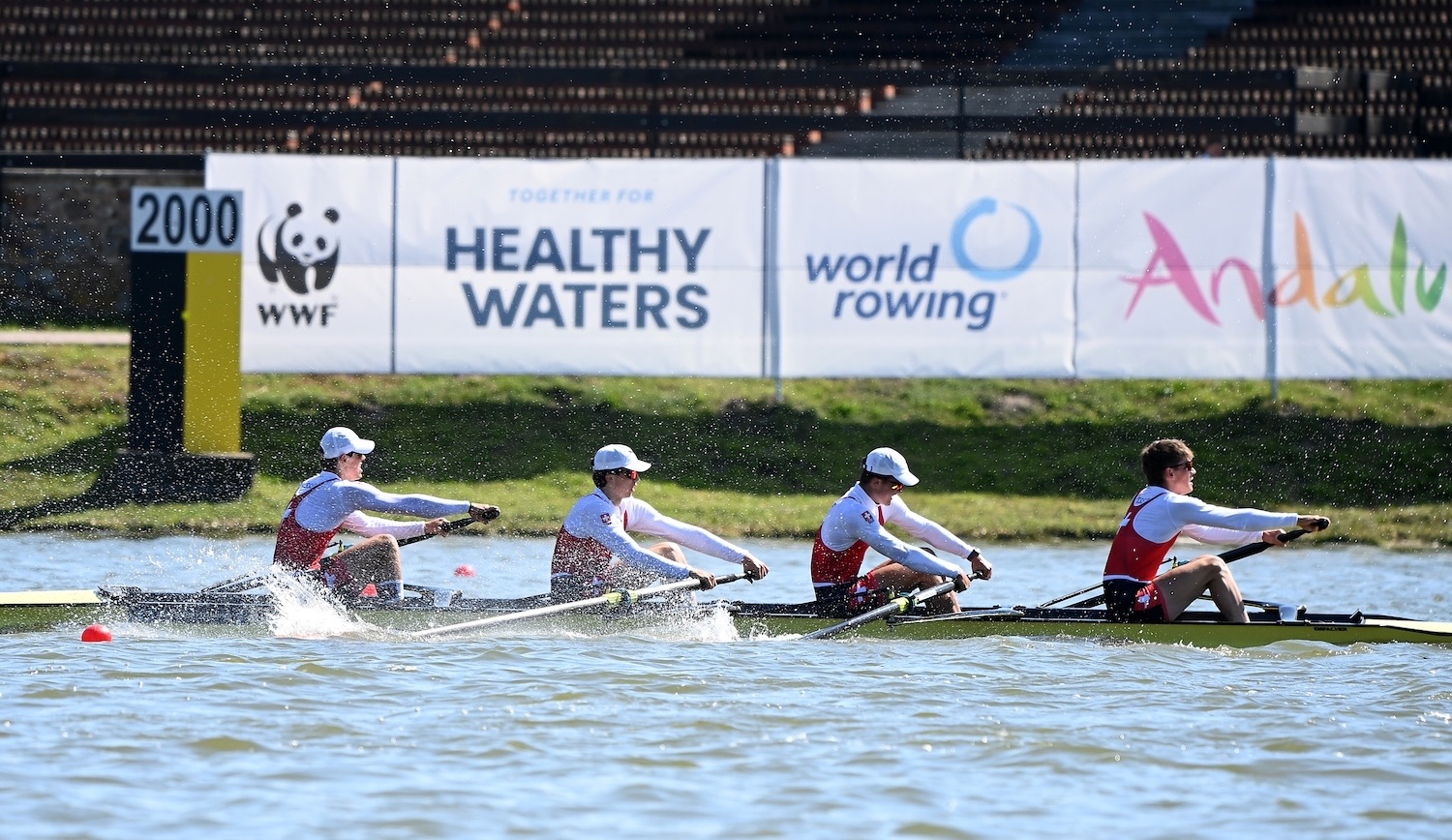 Vier Ruderer in rot-weissen Trikots rudern im Wettkampf an einer 2000-Meter-Markierung und Werbebannern von World Rowing und WWF vorbei.