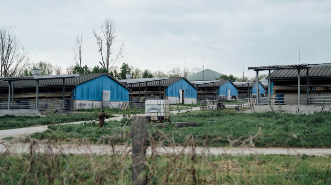 Ungarn; Komitat Komárom-Esztergom; Kisbér; durch Abgabe von Co2 und Amoniak an die Umwelt verpestet die Schweinmast- und Biogasanlage die Luft im circa 5000 Einwohner Ort Kisber; 15.04.2024 © Thomas Victor